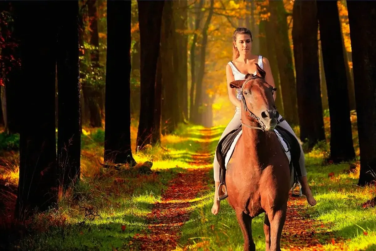 A cavallo
